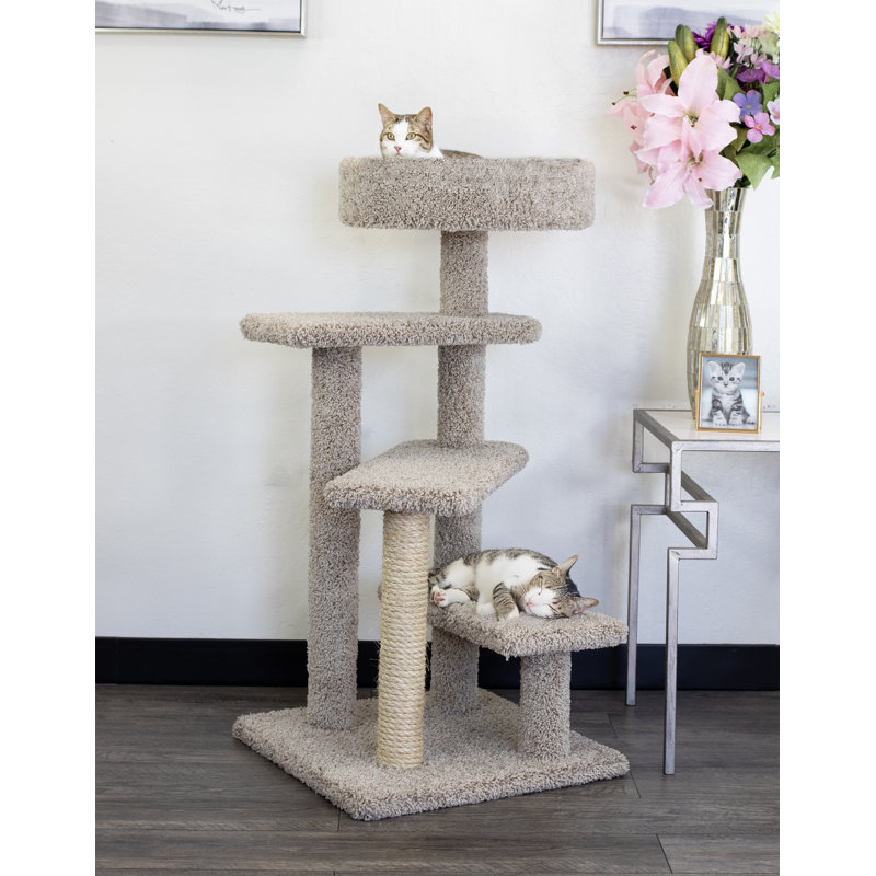 Arbre à chat à plusieurs niveaux avec perchoir spacieux New Cat Condos