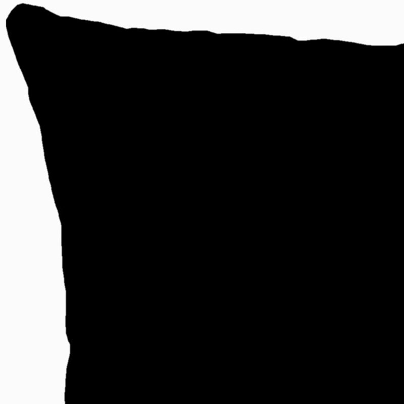 Sunbrella Outdoor Throw Pillow, Black