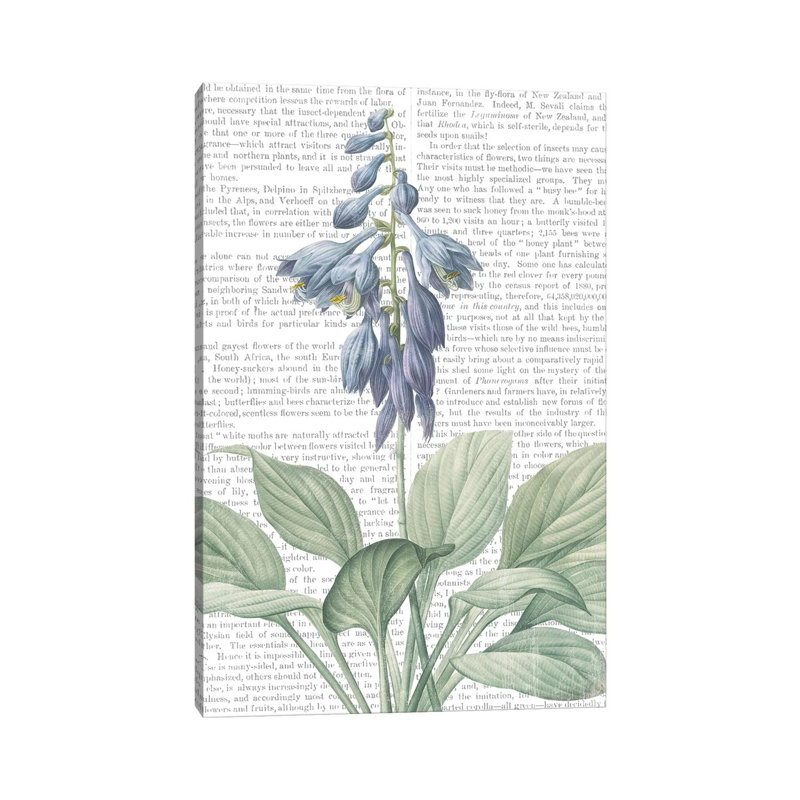 Summer Botanicals II - Wrapped Canvas Print, 20.32 cm H x 30.48 cm W