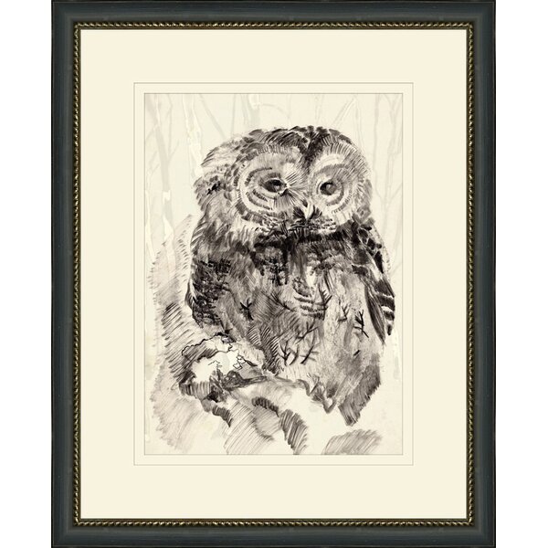 Wendover Art Group Owl Sketch 2 By Wendover Art Group 