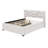 Stephenia Upholstered Platform Storage Bed-2018879624-2018879623