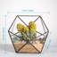 Bonsell Pot Planter
