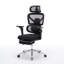 Fauteuil de bureau ergonomique avec support lombaire à massage, appui-tête 4D et accoudoirs 5D, dossier réglable haut et profondeur d'assise