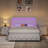Alber Upholstered Platform Bed Frame with LED Lights & Storage Drawers - Diamond Tufted Headboard & Footboard, Modern Bedroom Furniture-1789157116-1789157107