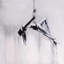 Danseuse sur contorsion aérienne - impression monochrome | Décoration intérieure
