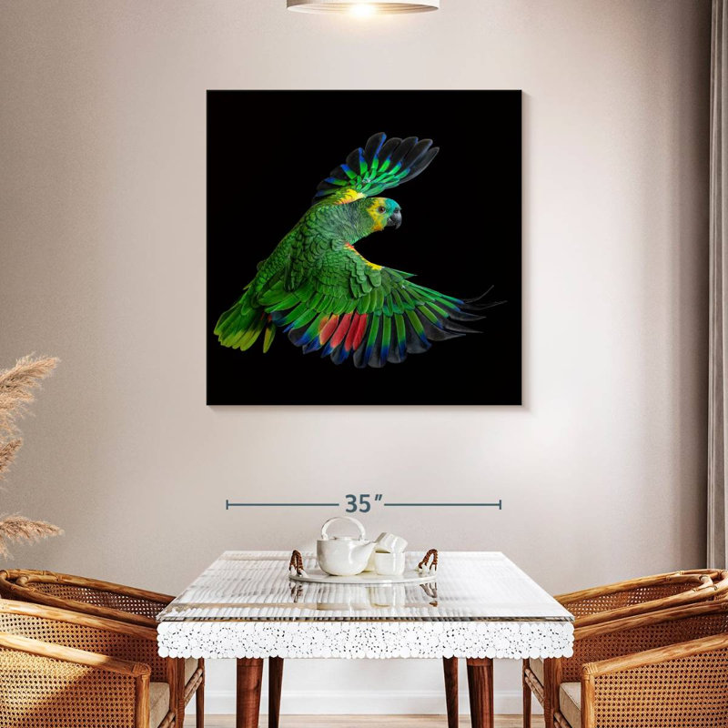 Brampt Flying Parrot, 39" H x 39" W