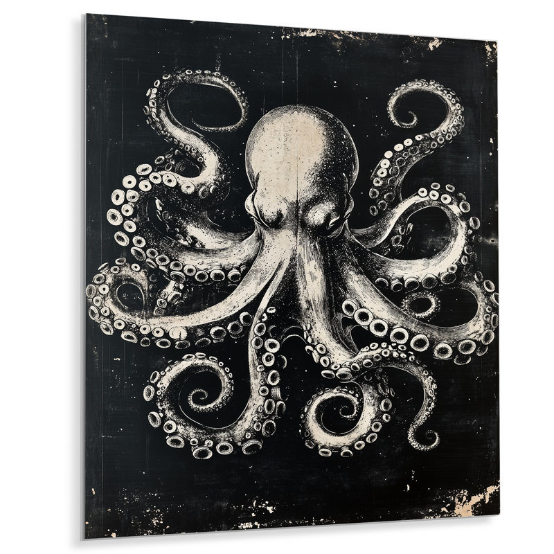 Octopus in Silver Shadow I - Black Marine Photogram, reproduction d'art murale en métal, L 30 po x H 40 po
