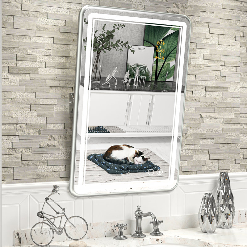 Miroir de salle de bain rectangulaire Demivion, Argent, 30 po x 20 po