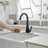 VIBRANTBATH Kitchen Faucet