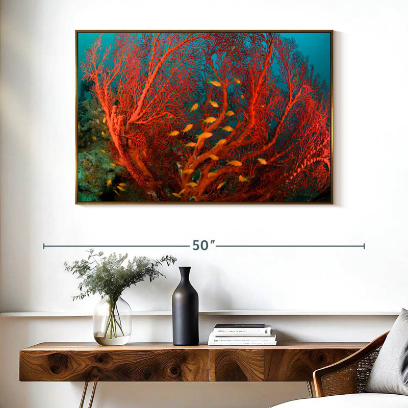Corail de feu, Cadre flottant doré, 40 po x 27 po