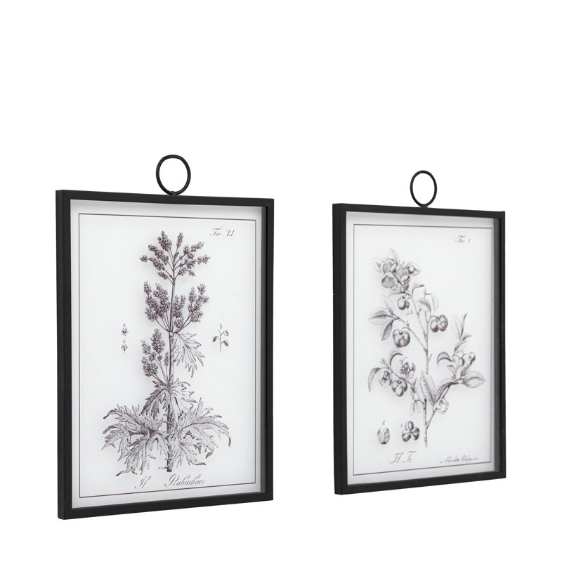 Petiole Art