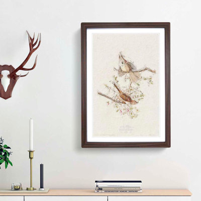 Song Sparrows by John Audubon - Picture Frame Painting Print