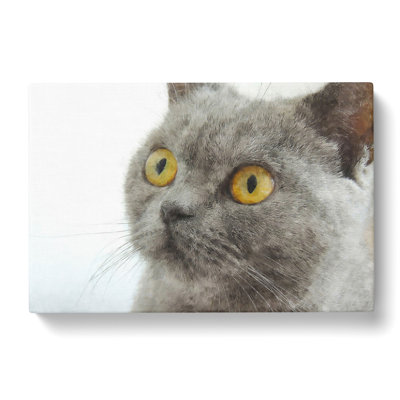 British Shorthair Cat Vol.5 - Wrapped Canvas Graphic Art