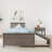 Boling Twin Solid Wood Platform Bed with Trundle-883602837-810749527