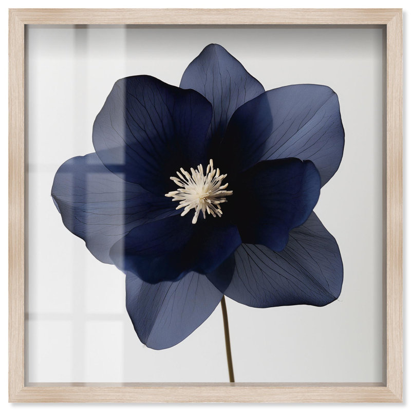 «Night Dal II Shadowbox», impression d'art floral bleu par Art Remedy, H 31 po x l 31 po, Crème, crème