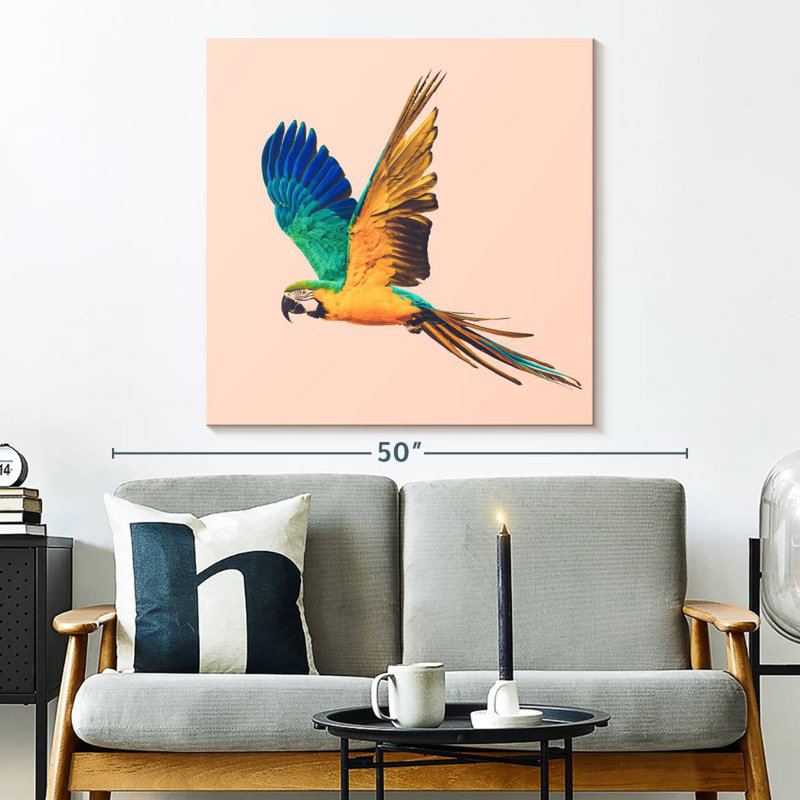Brampt Macaw Parrot Flying, 33" H x 33" W