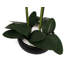 Plastic, Silk Artificial Arrangement in Planter-88685042-88685039