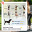 Foldable Pet Stroller Jogger with 3-Wheels and Canopy (for Medium and Small Dogs)