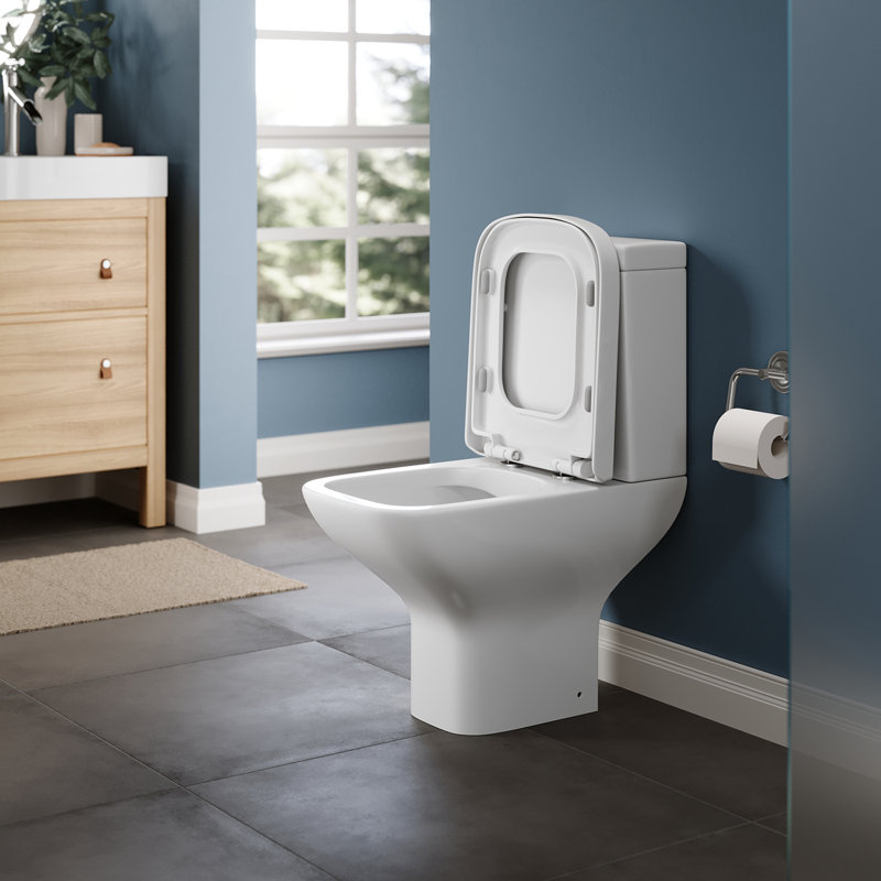 Belfry Bathroom Laplant 1.59L LPF Elongated One-Piece Toilet (Seat Not Included)
