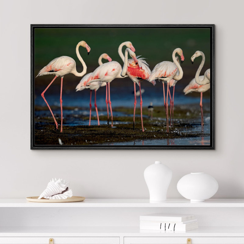 Flamants roses vibrantes, safari et jungle, Cadre noir, H 16 po x l 24 po x P 1,5 po