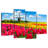 Alvord Holland Tulip Field-108904681