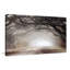 Intemporel Plantation Drive - Peinture-1946834545-1978999901
