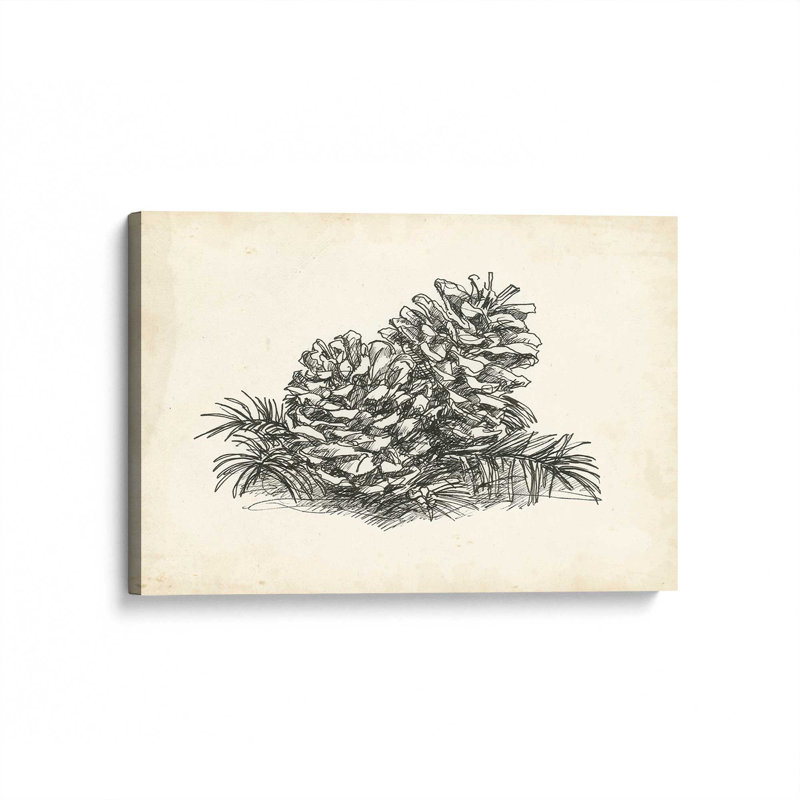 «Christmas Conifers I» par Ethan Harper, reproduction d'art sur toile, H 12 po x l 18 po, Toile tendue, Sans objet