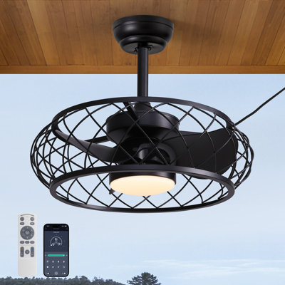 19.7" Outdoor Caged Ceiling Fan with Light Kit and Remote Control
