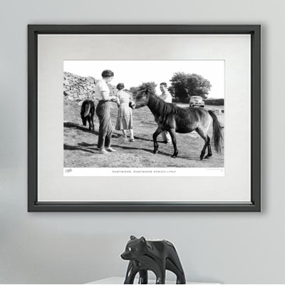 Dartmoor, Dartmoor Ponies C1965 1 Piece Single Picture Frame Wall Art