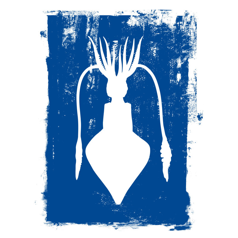A Squid Printing on a Blue Background - Painting Print, 30 cm H x 20 cm W, Black Floater Framed