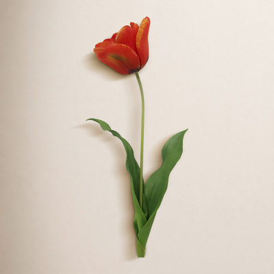 Tulip Floral Stems
