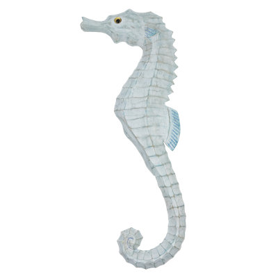 Hippocampe Lg Hd Up Aqua