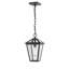 Lanterne suspendue d'extérieur 1 lumière H 14,25 po Swerve-1595622603-1595622602
