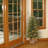 Nordic Pre-Lit Spruce Tree-10417431