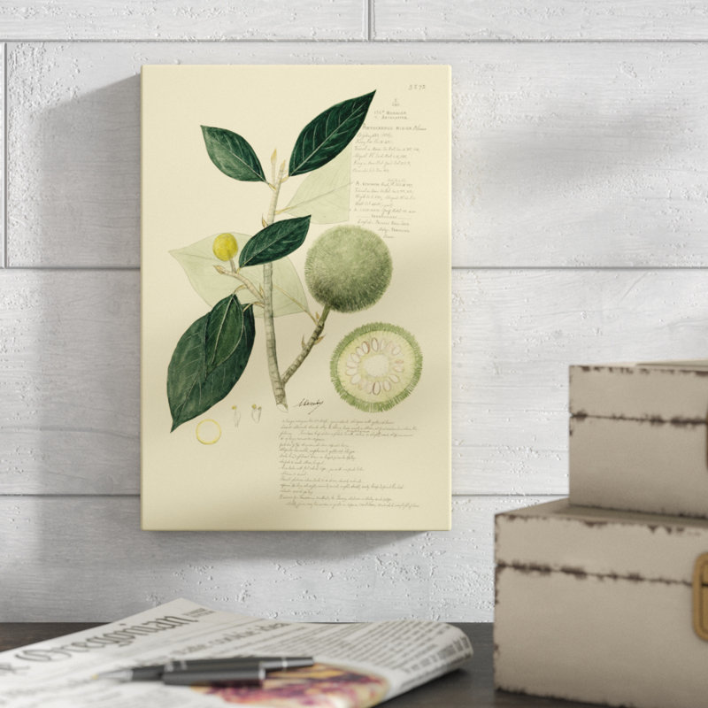 «Descubes Tropical Fruits I», peinture sur toile, H 12 po x l 8 po