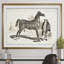 « équin sketch vii », impression-28042139-28042304-28042310