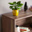 Modern Manufactured Wood Bookcase-32413965-123754590