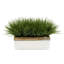 Herbe artificielle en pot de fleurs-2129745441-2129690918-2129745443