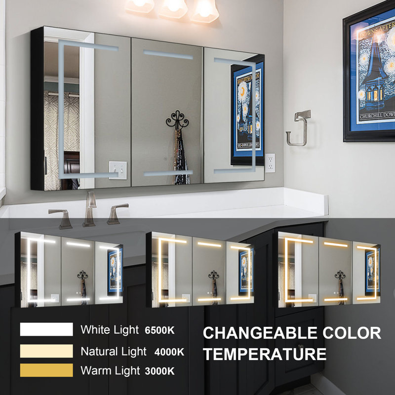 Camrynn 48 in. Mirrored Medicine Cabinet with LED Lights