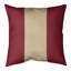 Housse de coussin Arizona Hockey-48909907-48909906