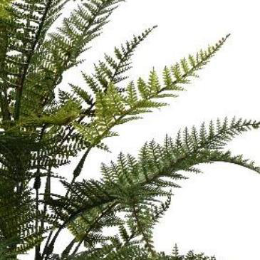 Artificial Fire Resistant Plants 78 cm H Faux Fern Plant