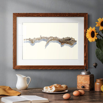 «Driftwood Study I - Rustic», reproduction d'art encadrée avec tableau mat