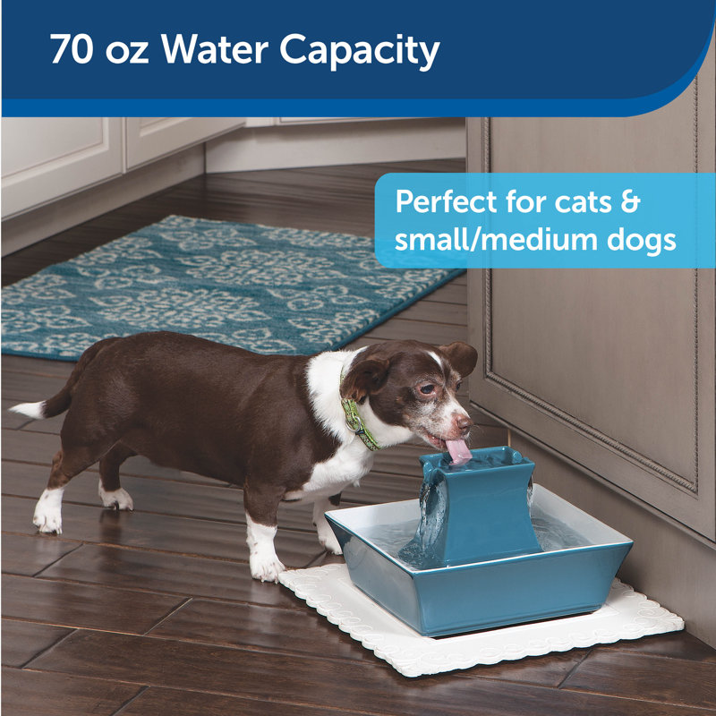 PetSafe Drinkwell Pagoda Pet Fountain, Himalayan Blue, Blue