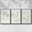 Breezy Fronds I 3 pièces-859183894-859183889