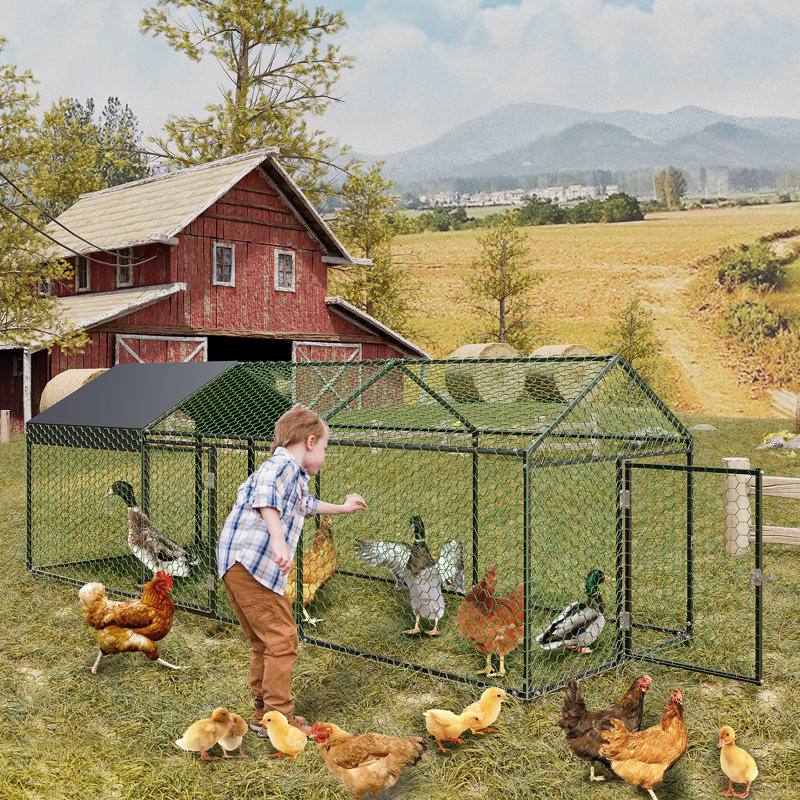 Chicken Run, Matte Black, 100cm H x 100cm W x 300cm D