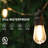 Varnum 30 - Bulb 96'' Plug-in LED String Light