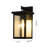 Traditional 1-Light Matte Black Lantern Outdoor Wall Sconce 
