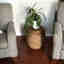 Customer photo 2 of 2