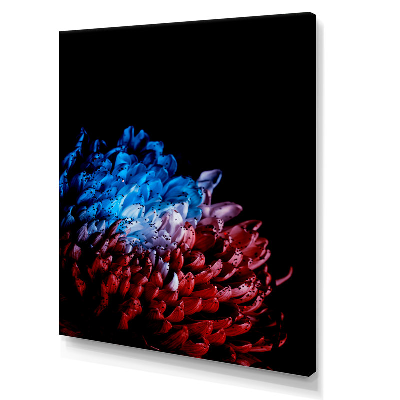 Reproduction d'art sur toile moderne, rouge et bleu, Cadre flottant beige, H 20 po x l 12 po x P 1 po