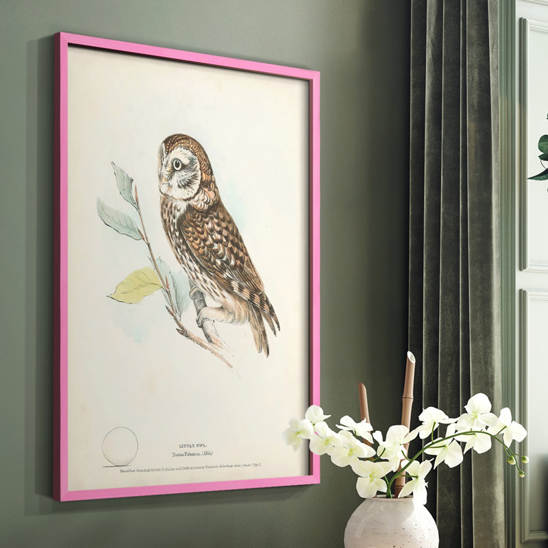 Little Owl Framed Print - Solid Wood, 10" H x 8" W, Pink
